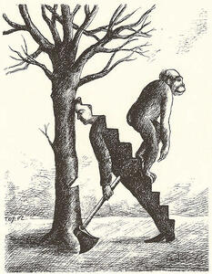  هپروتِ جاماندگان