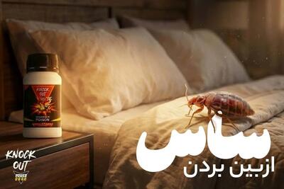  ساس چیست و چگونه از بین میرود؟