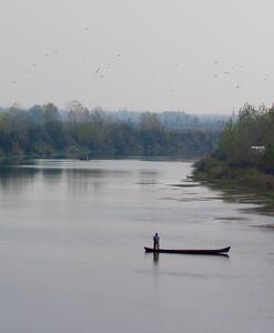 عکس/ مرد ماهی‌گیر میانه سپیده‌دم در سفیدرود | اقتصاد24