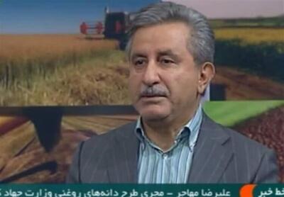  پتروشیمی‌ها به بهانه نبود گاز و برق به کشاورزان کود ندادند؛ این سیاستگذاری آن‌ها کاری کرد که امسال دوباره ۵ میلیون تن گندم وارد می‌کنیم