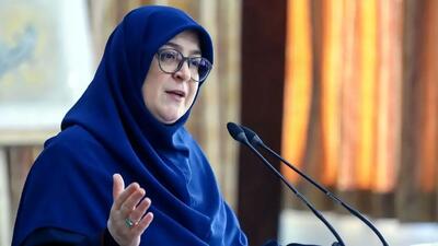  سخنگوی دولت: گزارش وضعیت حجاب به مقام معظم رهبری و رئیس‌جمهور ارائه شده