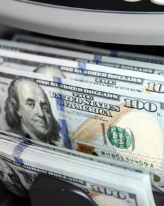 اثر ژانویه بر قیمت دلار/ چرا تقاضای خرید ارز در آذر و دی ماه افزایشی می شود؟