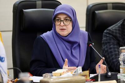  سخنگوی دولت: در لایحه «مشاغل حساس» ابهاماتی در واژگان به صورت مشخص وجود داشت، برای مثال حتی پست هیات علمی دانشگاه نیز به عنوان مشاغل حساس در نظر گرفته شده بود/ جمع‌بندی دولت این بود که این لایحه مسترد شود