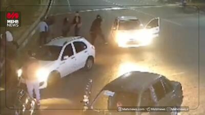  جزئیات پرونده درگیری هولناک اراذل و اوباش با خانواده‌ها در پارک ارم