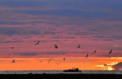  حمله به یک کشتی روسی دیگر در نزدیکی ترکیه