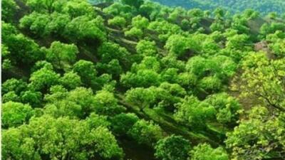  زوال زاگرس یعنی زوال تمدن