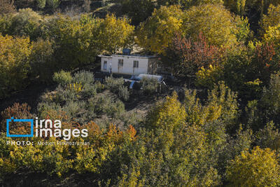  جهت‌گیری در حوزه گردشگری براساس منافع ملی باشد/پیش‌بینی ایجاد ۳ هزار بوم‌گردی در کشور