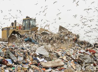  بمب‌های سمی مدفون زیر پای اروپا؛ زباله‌دان‌های پنهان منابع آب را تهدید می‌کند