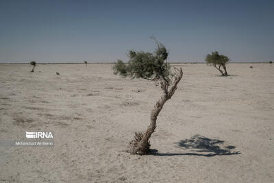  سیستان و بلوچستان درگیر خشکسالی تاریخی؛‌ افزایش دما و کاهش شدید بارش‌ها