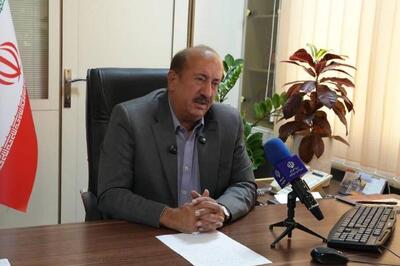  زارعی: ما مسئول سیاستگذاری و نظارت کیفیت خودرو هستیم
