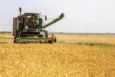  کاهش ۲۰میلیون تنی تولید محصولات کشاورزی