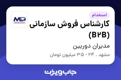  استخدام کارشناس فروش سازمانی (B2B) در مدیران دوربین