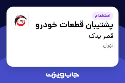  استخدام پشتیبان قطعات خودرو در قصر یدک