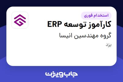  استخدام کارآموز توسعه ERP در گروه مهندسین انیسا