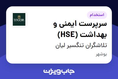  استخدام سرپرست ایمنی و بهداشت (HSE) - آقا در تلاشگران تنگسیر لیان