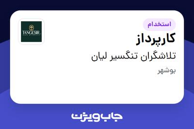  استخدام کارپرداز - آقا در تلاشگران تنگسیر لیان