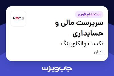  استخدام سرپرست مالی و حسابداری در نکست والکاورینگ