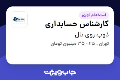  استخدام کارشناس حسابداری در ذوب روی تال