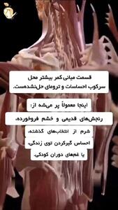  درد در هر بخش کمر نشانه چه احساس سرکوب شده ای است؟ + فیلم
