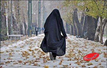  زیرساخت عفیفانه فرهنگ ایرانی، نویدبخش آینده روشن - کلبه سرگرمی