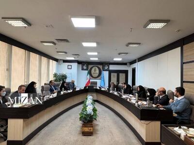  معاون نظارت بر جرایم معاونت اول قوه قضاییه: تمامی دستگاه‌ها باید اقدامات موثری در زمینه رفع ناترازی‌ها و افزایش تولید در حوزه انرژی انجام دهند