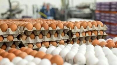  دلایل افزایش قیمت تخم مرغ در بازار / تخم مرغ دانه‌ای ۱۲ هزار تومان شد