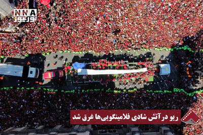  نورنما | ریو در آتش شادی فلامینگویی‌ها غرق شد