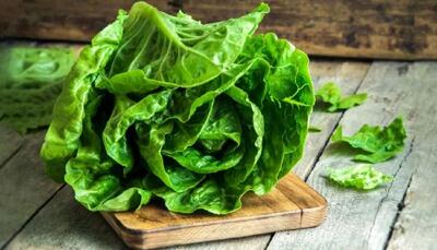  فواید و مضرات کاهو چیست ؛ خواص کاهو برای لاغری، سلامتی و پوست