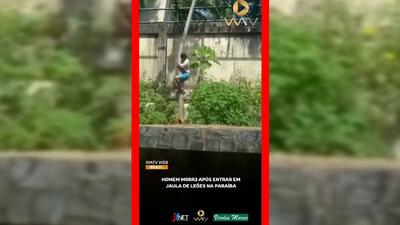  فیلم حادثه خونین در پارک بیکا / حمله شیر به مرد