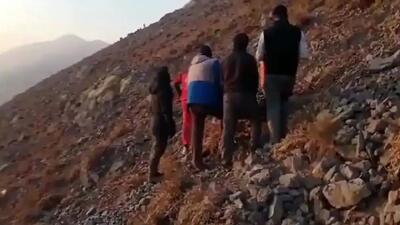  فیلم لحظه سقوط رضا امیرخانی هنگام پاراگلایدرسواری / نویسنده محبوب در بیمارستان بستری است