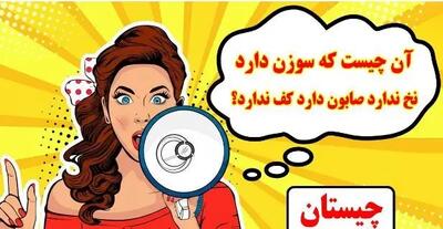  چیستان روز: آن چیست که سوزن دارد نخ ندارد صابون دارد کف ندارد؟