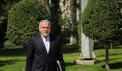  رئیس میراث فرهنگی در گفت‌وگو با شفقنا: «تخت جمشید» هیچ تغییر شکل یا آسیبی ندیده است/ وضعیت تحت کنترل است