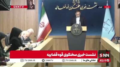  جهانگیر: رای محکومیت شبنم نعمت‌زاده قطعی است و در مرحله اجرا قرار دارد