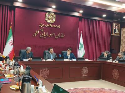  افشین: سازمان امور مالیاتی پیشتاز تحول دیجیتال کشور می‌شود