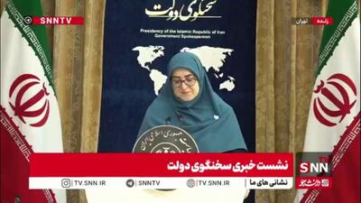  کنایه یک خبرنگار: خدا را شکر باد و باران آمد به دادمان رسید!/ سخنگوی دولت: الحمدالله