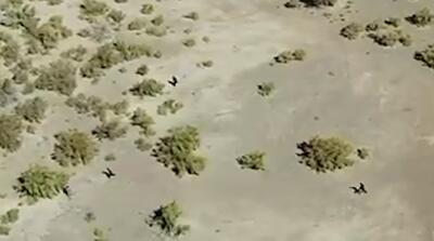  تصاویر پهپادی قاچاق افغانی‌‌ها به کرمان!