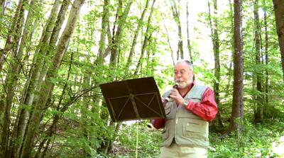  فانتزیا شماره 8 برای ابوا سولو