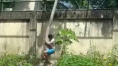  لحظات کشتن یک مرد جوان توسط شیر ماده