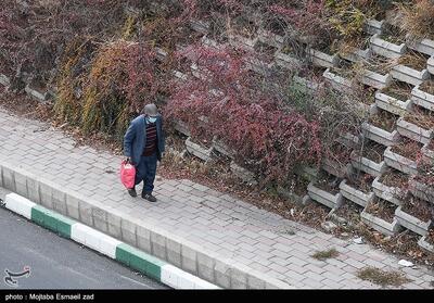  رشد 20 درصدی فوتی‌ها با آغاز آلودگی هوای تهران/ تنها راه تغییر مدل حکمرانی است - تسنیم
