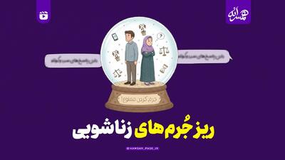  ریز جُرم‌های زناشویی
