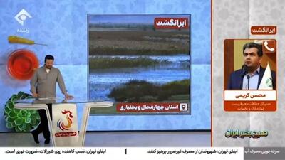  اگر تالابی از بین برود می‌توان آن را احیا کرد؟ + فیلم