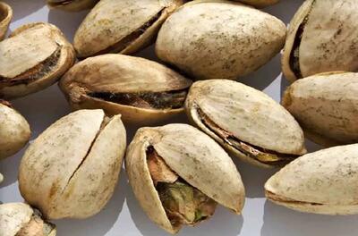  کانادا برای پسته ایران حرف و حدیث ساخت!