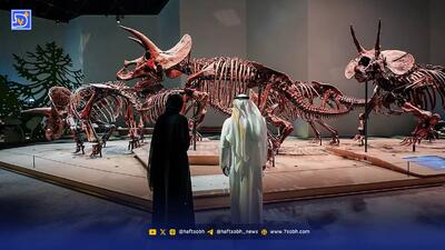  «موزه تاریخ طبیعی ابوظبی» با مساحت ۳۵هزار مترمربع به عنوان بزرگ‌ترین موزه تاریخ طبیعی خاورمیانه‌ افتتاح شد