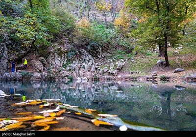  طبیعت پاییزی چشمه لال گلستان