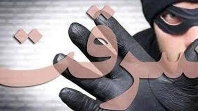  زورگیری خشن از یک زن در تهران