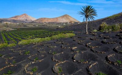  سرزمین شگفت انگیز سیاه و سپید؛ شرقی ترین جزیره از مجمع الجزایر قناری اسپانیا (+تصاویر)