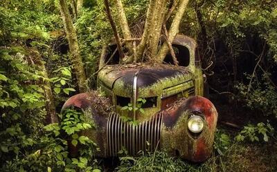  زیبایی وهم‌آلود خودروهایی که به تصرف طبیعت درآمده‌اند