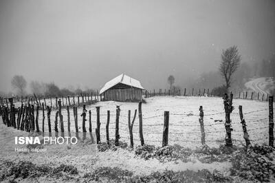  چند تصویر حال خوب‌کن از هوای برفی شمال