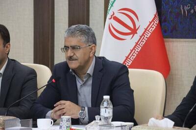  تصویب ۱۳ طرح پرورش مرغ گوشتی در سیستان‌ و بلوچستان