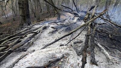  پایان عملیات اطفا حریق در جنگل توسکستان گرگان